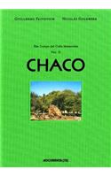 Guillermo Faivovich & Nicolas Goldberg: The Camp del Cielo Meteorites