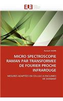 Micro Spectroscopie Raman Par Transformee de Fourier Proche Infrarouge