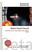 Short-Toed Coucal