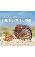 Hermit Crab
