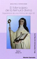 Mensajero de la Ternura Divina: Experiencia de una mistica del siglo XIII. Tomo I