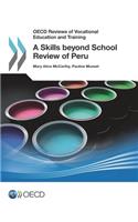 OECD Reviews of Vocational Education and Training A Skills beyond School Review of Peru