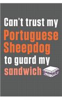 Can't trust my Portuguese Sheepdog to guard my sandwich: For Portuguese Sheepdog Breed Fans