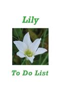 Lily To Do List