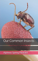 Our Common Insects