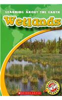 Wetlands