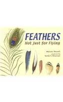 Feathers: Not Just for Flying