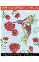 Fantastic Birds To Color