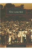 Sycamore