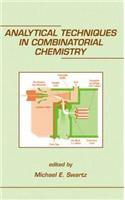 Analytical Techniques in Combinatorial Chemistry