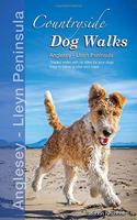 Countryside Dog Walks