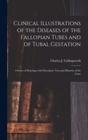 Clinical Illustrations of the Diseases of the Fallopian Tubes and of Tubal Gestation