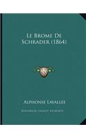 Le Brome De Schrader (1864)