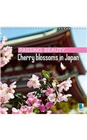 Passing Beauty - Cherry Blossoms in Japan 2017