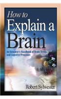 How to Explain a Brain