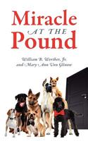 Miracle at the Pound
