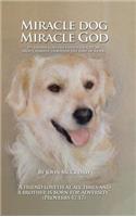 Miracle Dog Miracle God: What God the Father taught me about Himself through the love of a dog