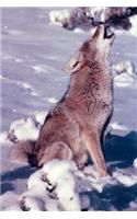 A Howling Coyote on a Rocky Peak in the Desert Journal: 150 Page Lined Notebook/Diary(English)