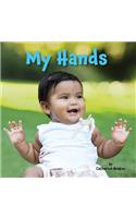 My Hands