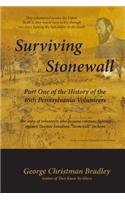 Surviving Stonewall