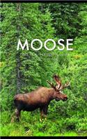 Moose Note Monthly 2020 Planner 12 Month Calendar