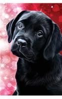 Black Lab Puppy Journal