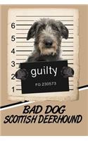 Bad Dog Scottish Deerhound: Beer Tasting Journal Rate and Record Your Favorite Beers Collect Beer Name, Brewer, Origin, Date, Sampled, Rating, STATS ABV Ibu Og Tg Srm, Price, C