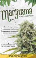 Coltivazione della Marijuana per Principianti