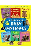 Little Box of Baby Animals