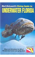 Diving Guide to Underwater Florida