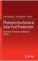 Photoelectrochemical Solar Fuel Production