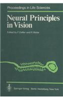 Neural Principles in Vision