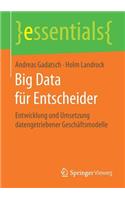 Big Data Für Entscheider
