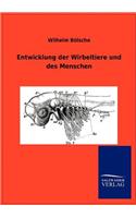 Entwicklung der Wirbeltiere und des Menschen