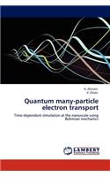 Quantum Many-Particle Electron Transport