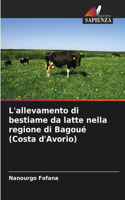 L'allevamento di bestiame da latte nella regione di Bagoué (Costa d'Avorio)