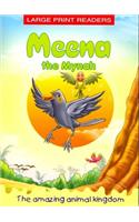 Meena The Mynah