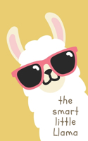 Smart Little Llama
