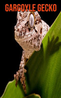 Gargoyle Gecko: Amazing Facts about Gargoyle Gecko