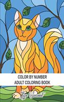 Color By Number Adult Coloring Book
