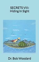 Secrets VIII: Hiding in Sight