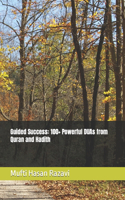 Guided Success