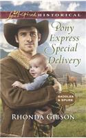 Pony Express Special Delivery