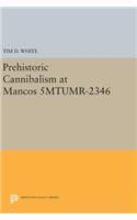 Prehistoric Cannibalism at Mancos 5mtumr-2346