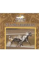 Standardbreds
