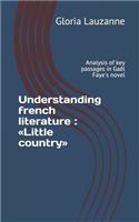 Understanding french literature