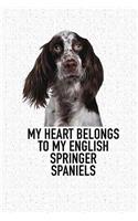 My Heart Belongs to My English Springer Spaniels