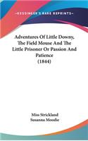 Adventures Of Little Downy, The Field Mouse And The Little Prisoner Or Passion And Patience (1844)
