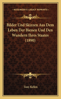 Bilder Und Skizzen Aus Dem Leben Der Bienen Und Den Wundern Ihres Staates (1890)