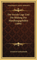 Die Sociale Lage Und Die Bildung Der Handlungsgehilfen (1894)